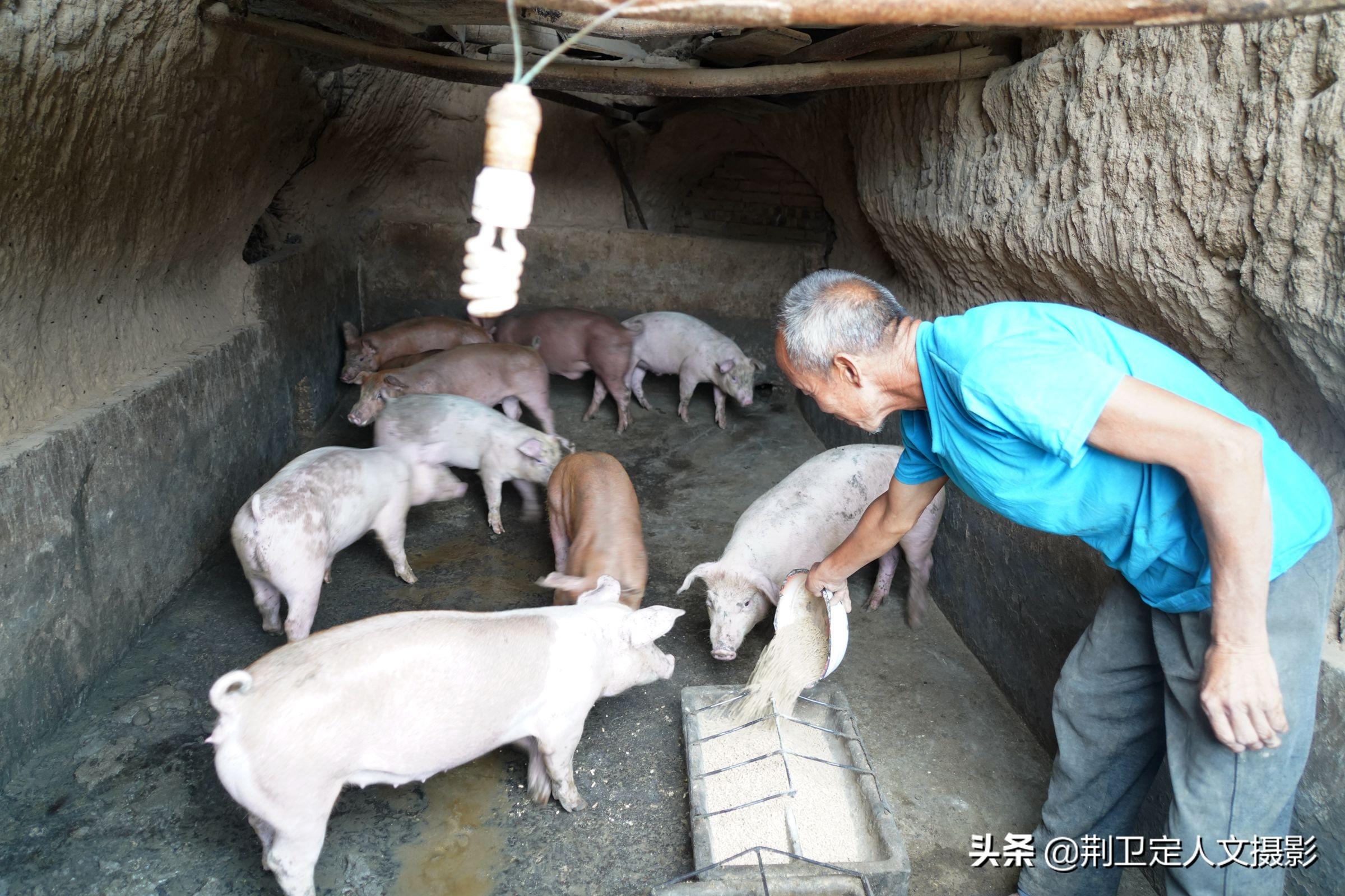 致富经农业养殖视频_养殖致富网视频_农场养殖致富视频