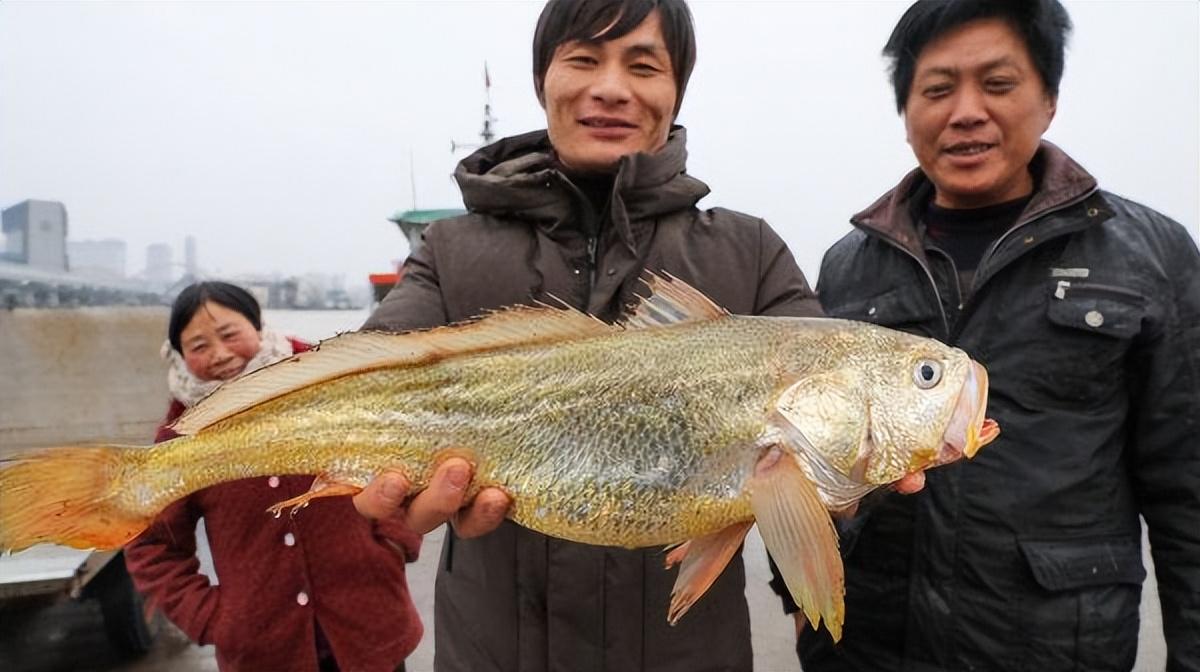 致富经海上养殖视频_海上养殖转型升级_海上养殖平台