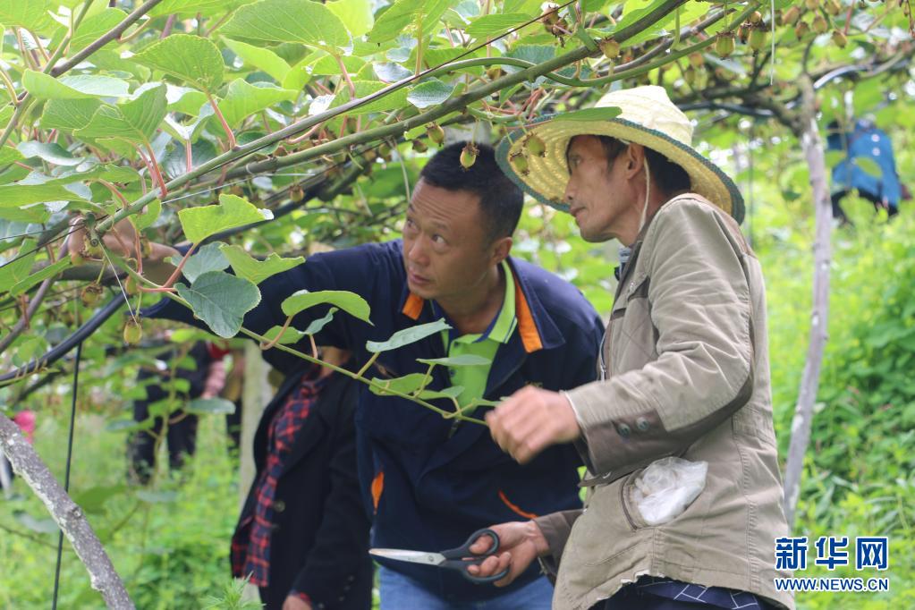 农村致富新项目种植业_农民种植致富新面貌_农村致富新农人