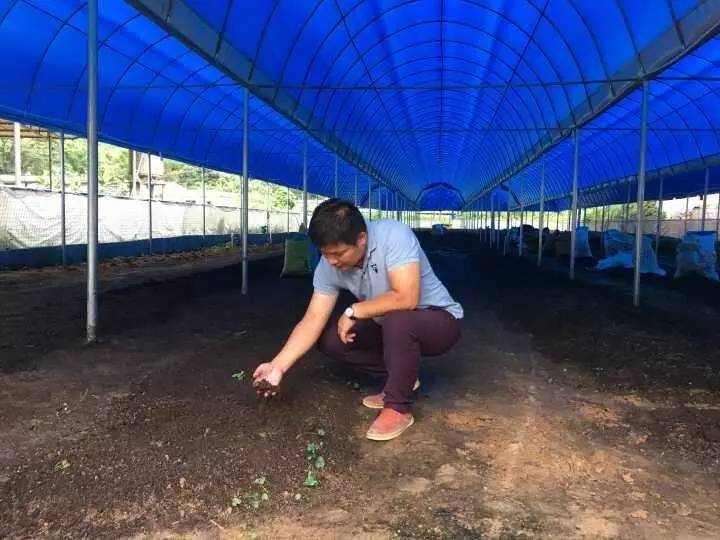 致富养殖牛典型事迹材料范文_养殖致富项目牛_致富牛养殖