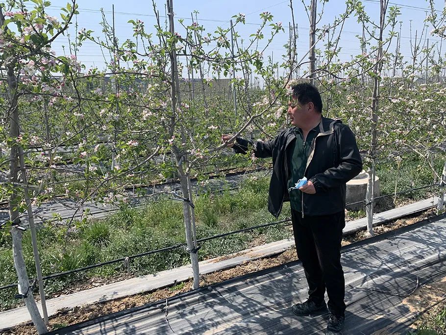 种植致富的果园_致富种植果园图片_果园种植基地