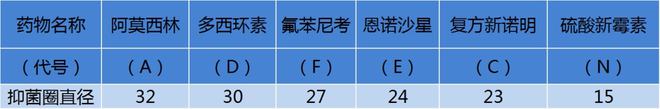 主养黄颡鱼成鱼养殖模式_黄颡鱼的养殖技术_黄颡鱼养殖技术视频