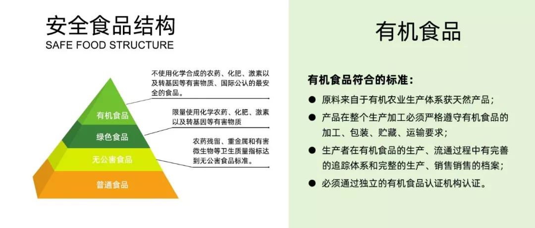 养黑鸡致富经_养殖黑鸡视频_致富经养殖五黑鸡