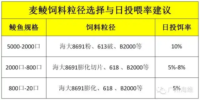 养殖鮸鱼_鲮鱼养殖技术视频_鲮鱼养殖最新技术