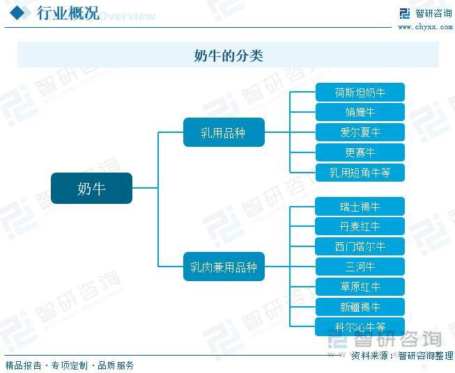 养殖奶牛赚钱吗_致富养殖奶牛赚钱吗_养殖奶牛致富