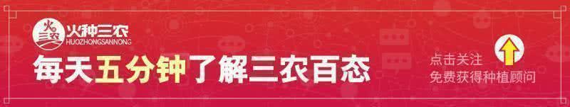 “致富经”变成了“致穷经”，其中责任，谁来承担？