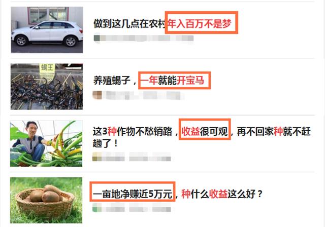 “致富经”变成了“致穷经”，其中责任，谁来承担？