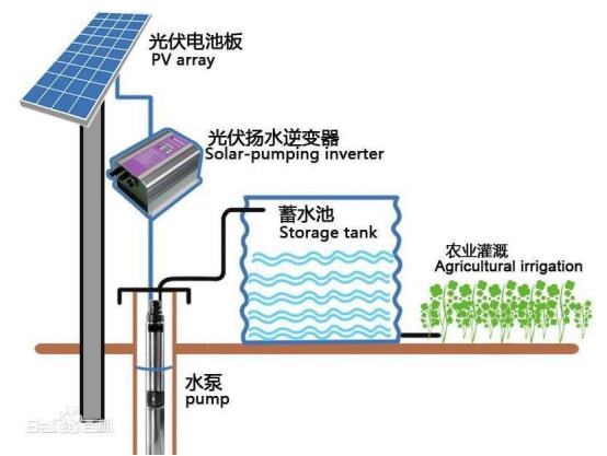 农村致富新项目养殖_新型农业养殖致富_农民致富养殖业