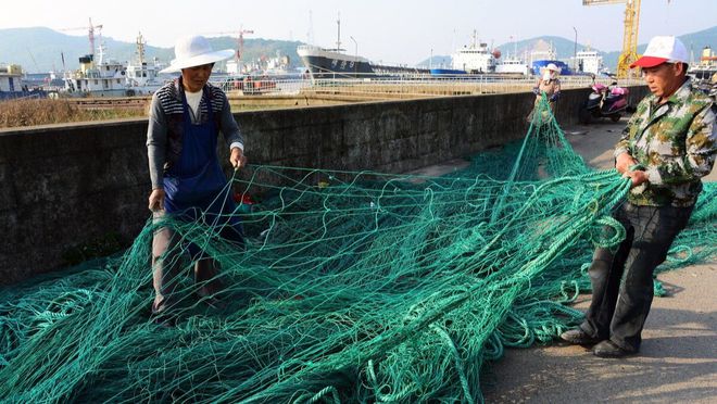 养殖人工蚂蚱技术要求_人工养殖蚂蚱技术_养殖人工蚂蚱技术规范