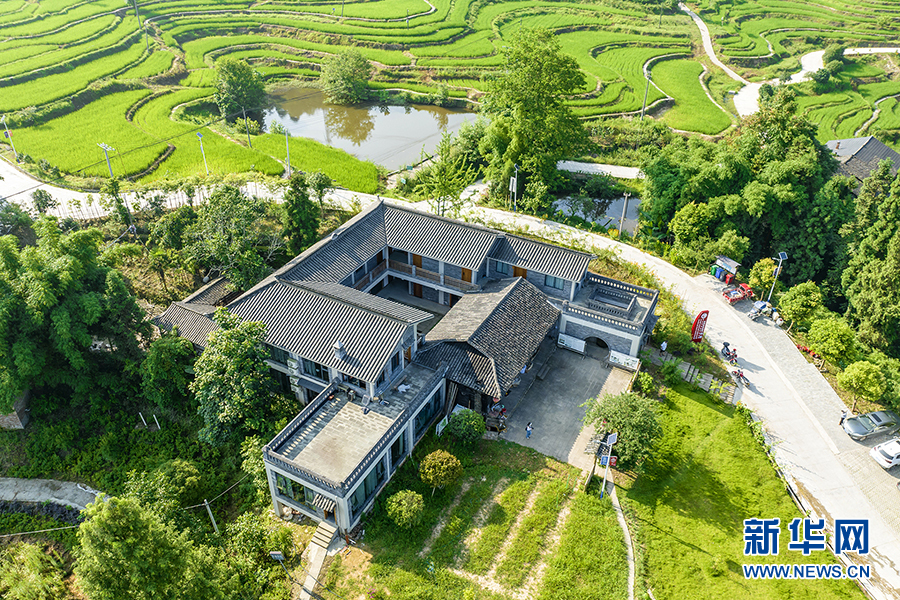 致富经种植中药材视频_中药种植致富蓝图_致富中药蓝图种植视频