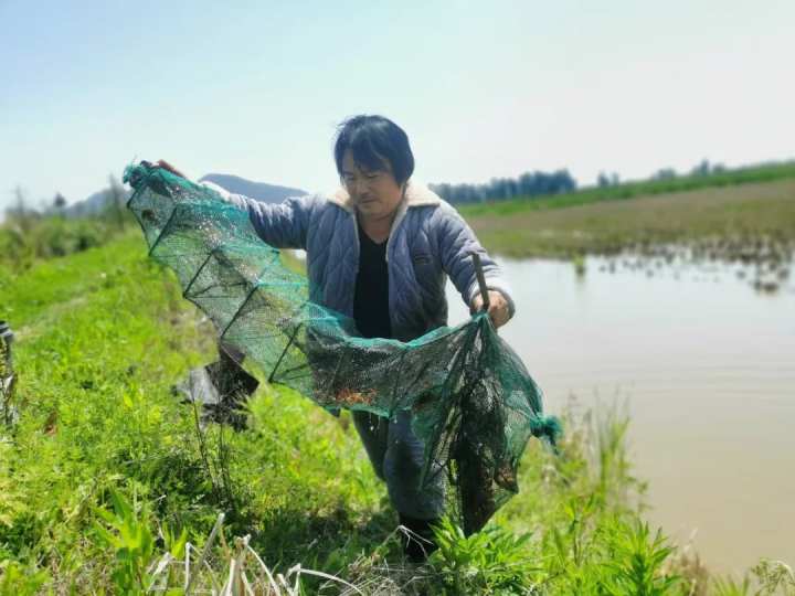 农田养殖致富_致富农村养殖种植_致富农田养殖项目