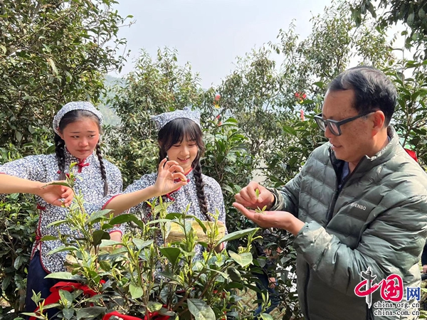 风景树致富经_致富经盆景花卉_风景树种植致富经