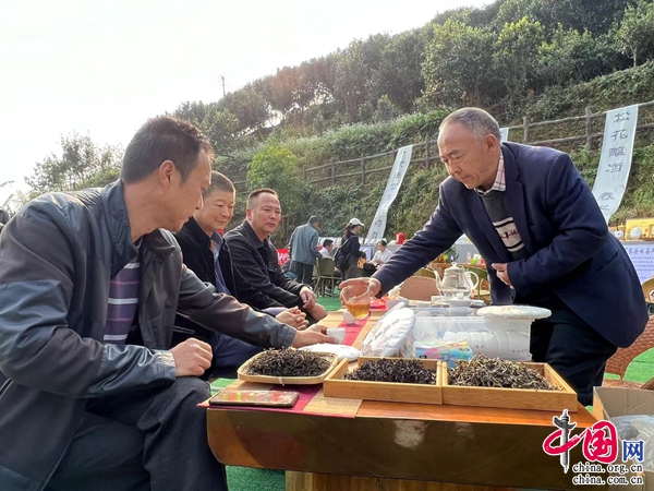 风景树种植致富经_致富经盆景花卉_风景树致富经