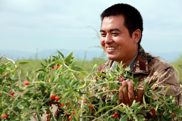 桃树视频素材_致富经桃树视频_致富经桃树种植视频