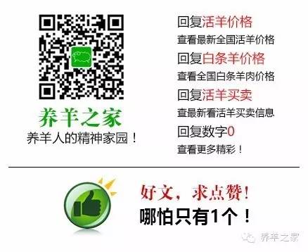 农村致富项目养殖业_农村养殖致富项目有哪些_致富养殖农村项目有哪些