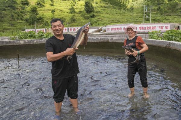 杂螃蟹怎么做_大杂蟹养殖技术_蟹的养殖和注意方法