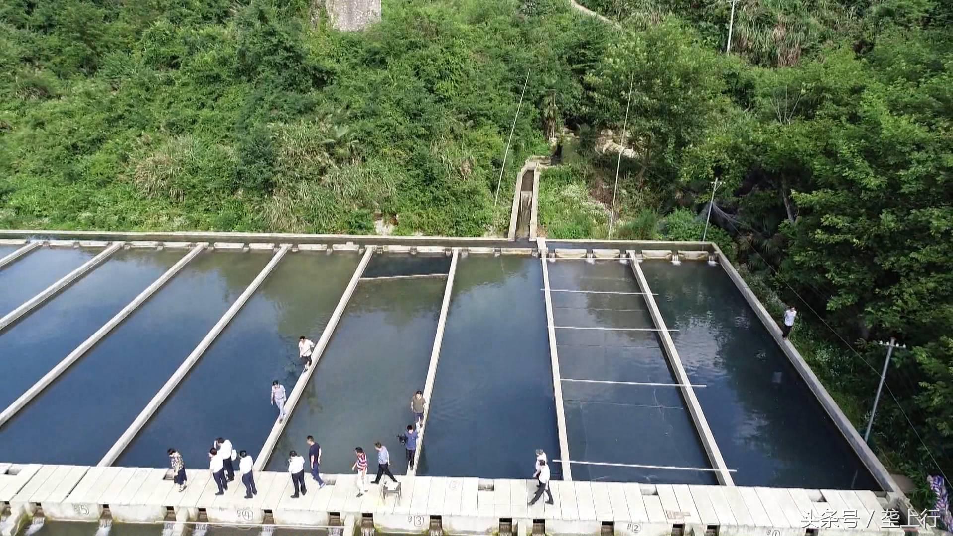 几个能致富的特种养殖项目_致富经特种养殖_特种养殖快速致富门路