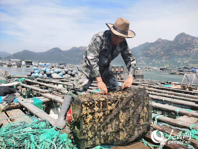 农民鲁智深谈三农视频_农民鲁智深是怎么回事_农民鲁智深种植致富