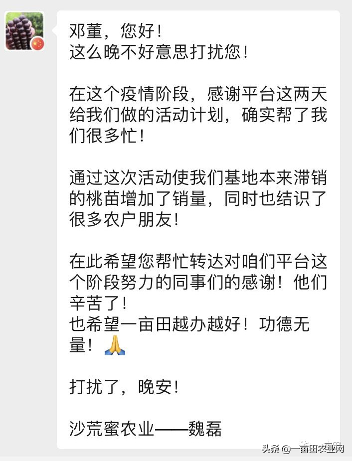 疫情之下订单量反而暴涨六倍！这位卖苗木的小伙只用了一个妙招