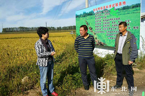 东北地区水稻种植的优势条件_东北地区种植水稻_致富经东北种植水稻