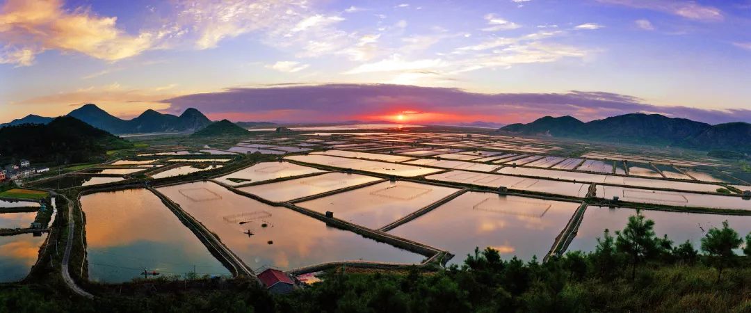 海水养虾技术高手_海水虾的养殖技术_海水养殖的大虾