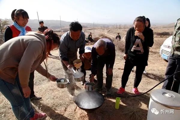 油用牡丹种植合作_油牡丹种植致富_牡丹致富种植油好吗