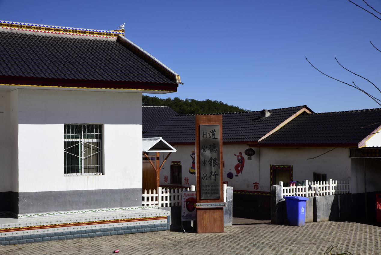 致富经四川羊肚菌地址_羊肚菌四川基地_四川羊肚菌种植合作社在哪里