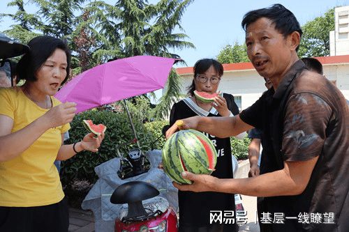 四季蒜苗种植致富_广东丘陵种植致富_白领种植蘑菇致富