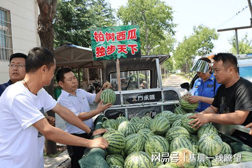 白领种植蘑菇致富_四季蒜苗种植致富_广东丘陵种植致富