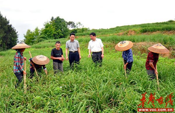 郑伯平：昔日上访户 今朝“最美阳光致富带头人”