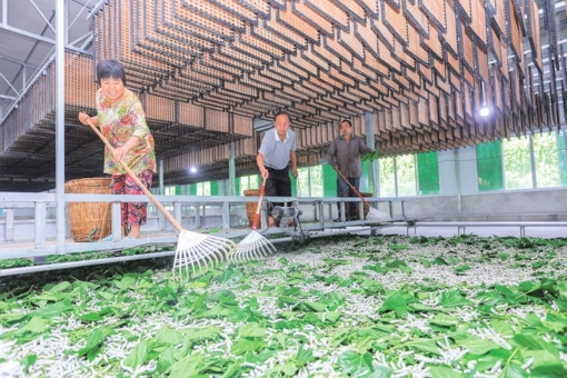 走进射洪市沱牌镇金舜村 “三把钥匙”打开金舜村“脱贫门”