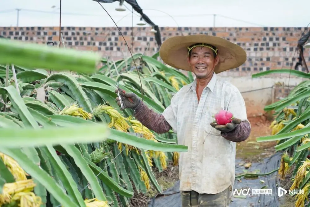 致富柑橘种植果园地址_种植柑橘赚钱吗_柑橘致富果种植