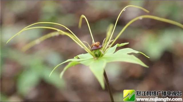 致富地带_致富经一亩地收入_致富的标准是收入多少