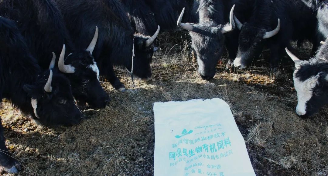 秸秆生物发酵饲料的经济效益及社会效益探讨