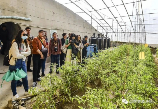 甘蔗种植致富吗_致富甘蔗种植技术视频_甘蔗种植赚钱吗