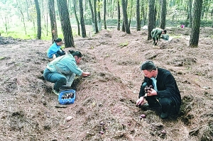 林下种植小菌菇 拓宽村民致富路