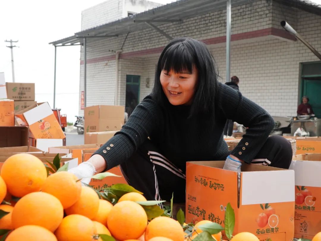 致富柑橘种植果园图片_柑橘致富果种植_柑橘种植效益