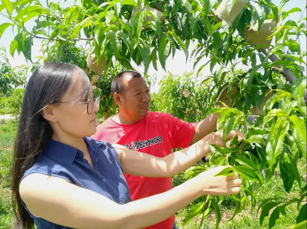 瓜大姐种植致富_瓜大姐种植致富_瓜大姐种植致富