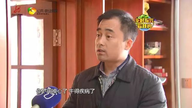 2O13致富经养牛_cctv17致富经养牛_致富经牛养殖视频