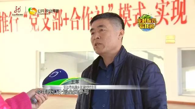 2O13致富经养牛_致富经牛养殖视频_cctv17致富经养牛