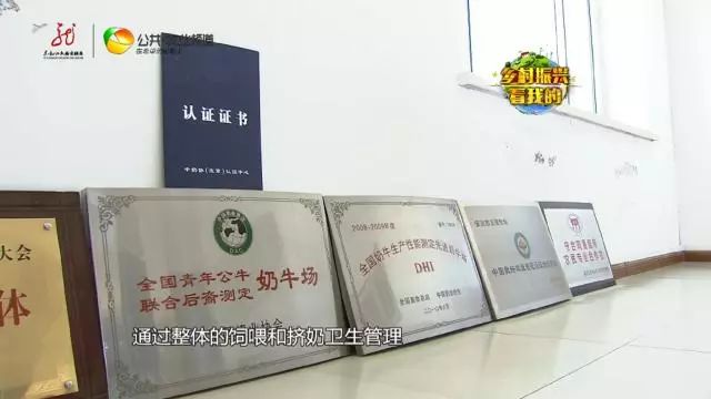 致富经牛养殖视频_2O13致富经养牛_cctv17致富经养牛