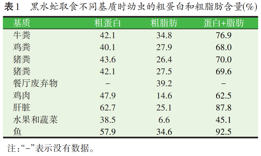 黄粉虫 养殖技术_山东养殖黄粉虫_山东黄粉虫养殖