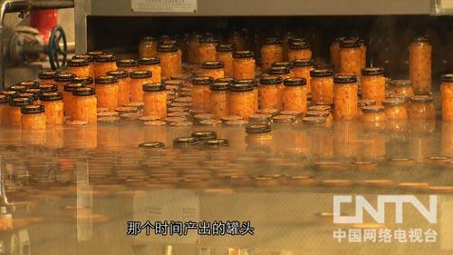 关于种植水果的致富经_农业种植水果致富项目_致富经种植三种水果亩收入过亿