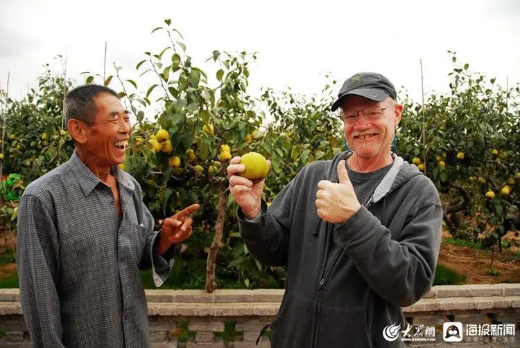 致富经梨树_梨树种植前景与利润_与梨树相关致富经