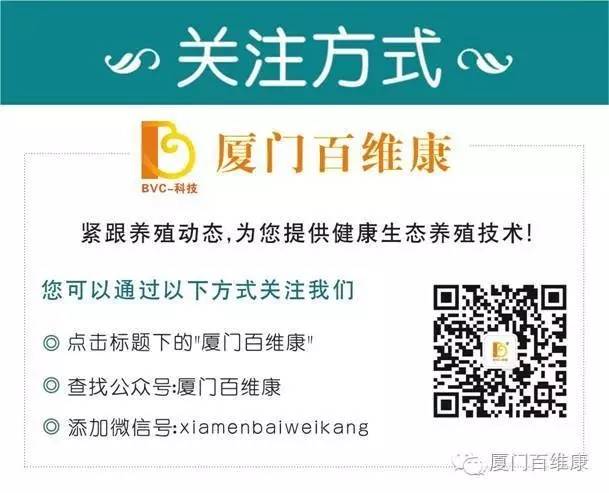 南美养殖对虾网箱技术规程_网箱养殖南美对虾技术_南美白对虾网箱养殖技术