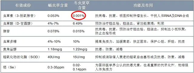 致富经蛹虫草_蛹虫草的价值_蛹虫草药品