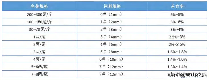 加州鲈高产高效健康养殖技术