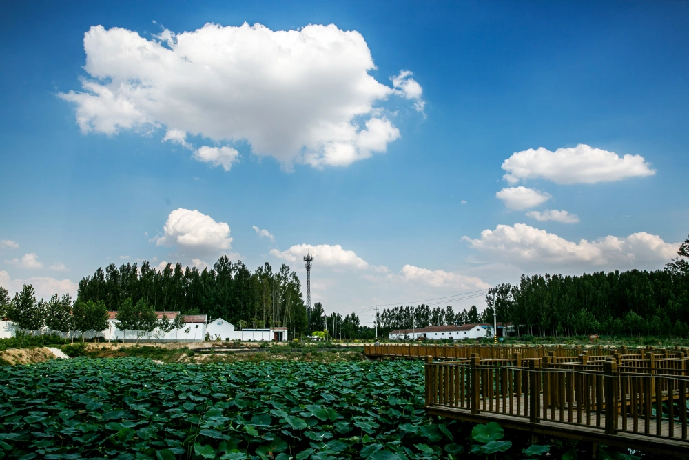 致富乡村旅游的意义_致富经乡村旅游_致富乡村旅游论文