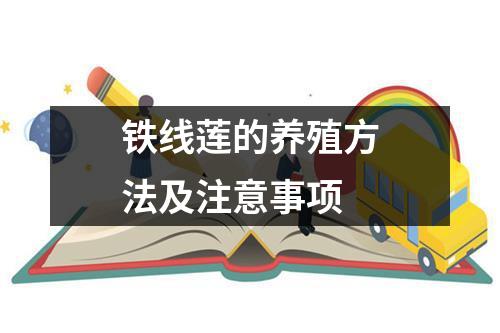 铁线莲的养殖方法及注意事项