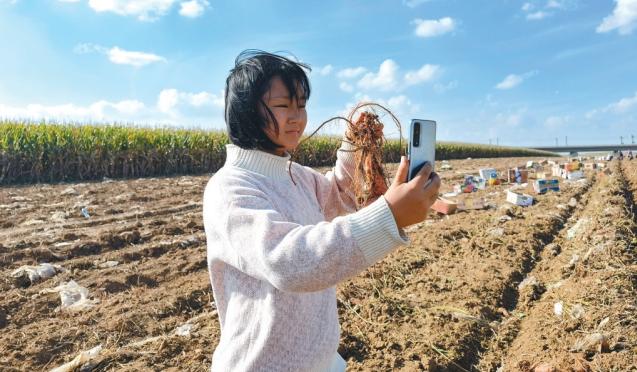 铁岭主要农作物_铁岭种什么农作物_铁岭农业种植致富